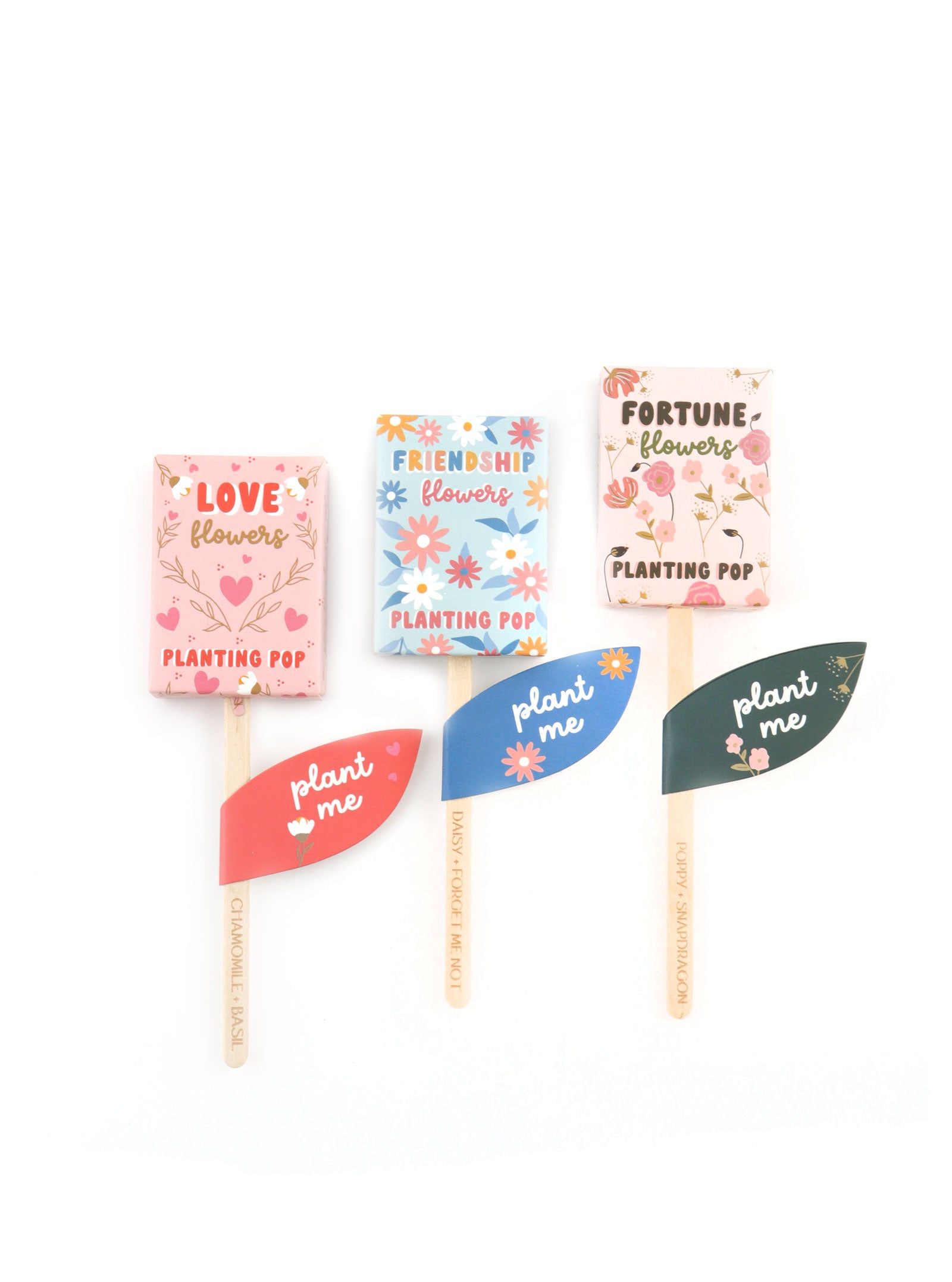 GARDEN + GIFT SEED PLANTING POP