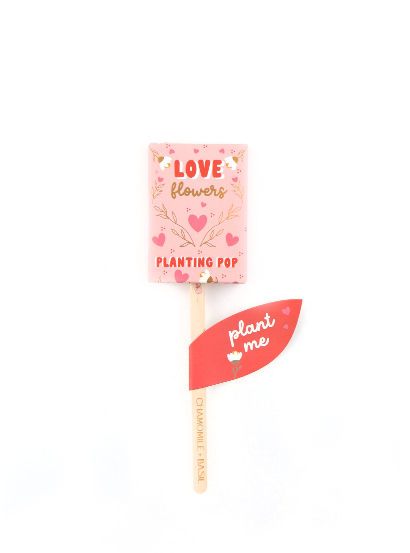 GARDEN + GIFT SEED PLANTING POP