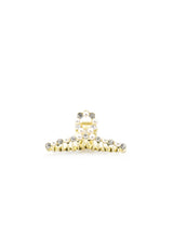 JANIQUE CLAW CLIP